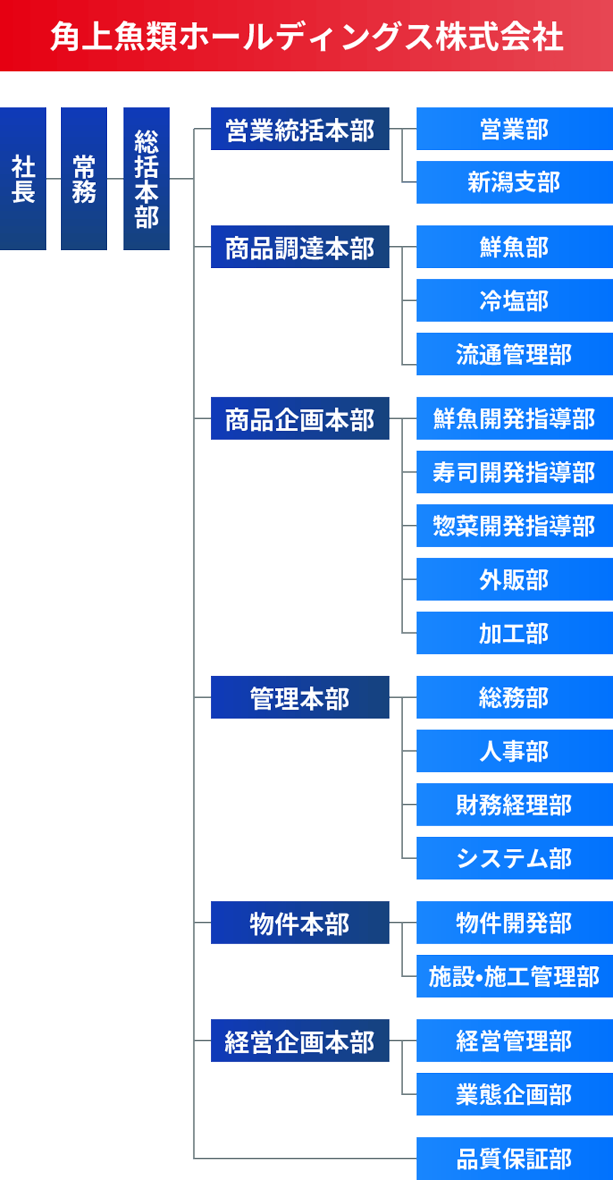 角上魚類ホールディングス株式会社の組織図。社長をトップに、常務、総括本部があり、総括本部の下には、営業統括本部、商品調達本部、商品企画本部、管理本部、物件本部、経営企画本部、品質保証部が配置。