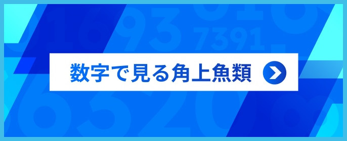 数字で見る角上魚類