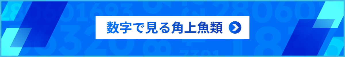 数字で見る角上魚類