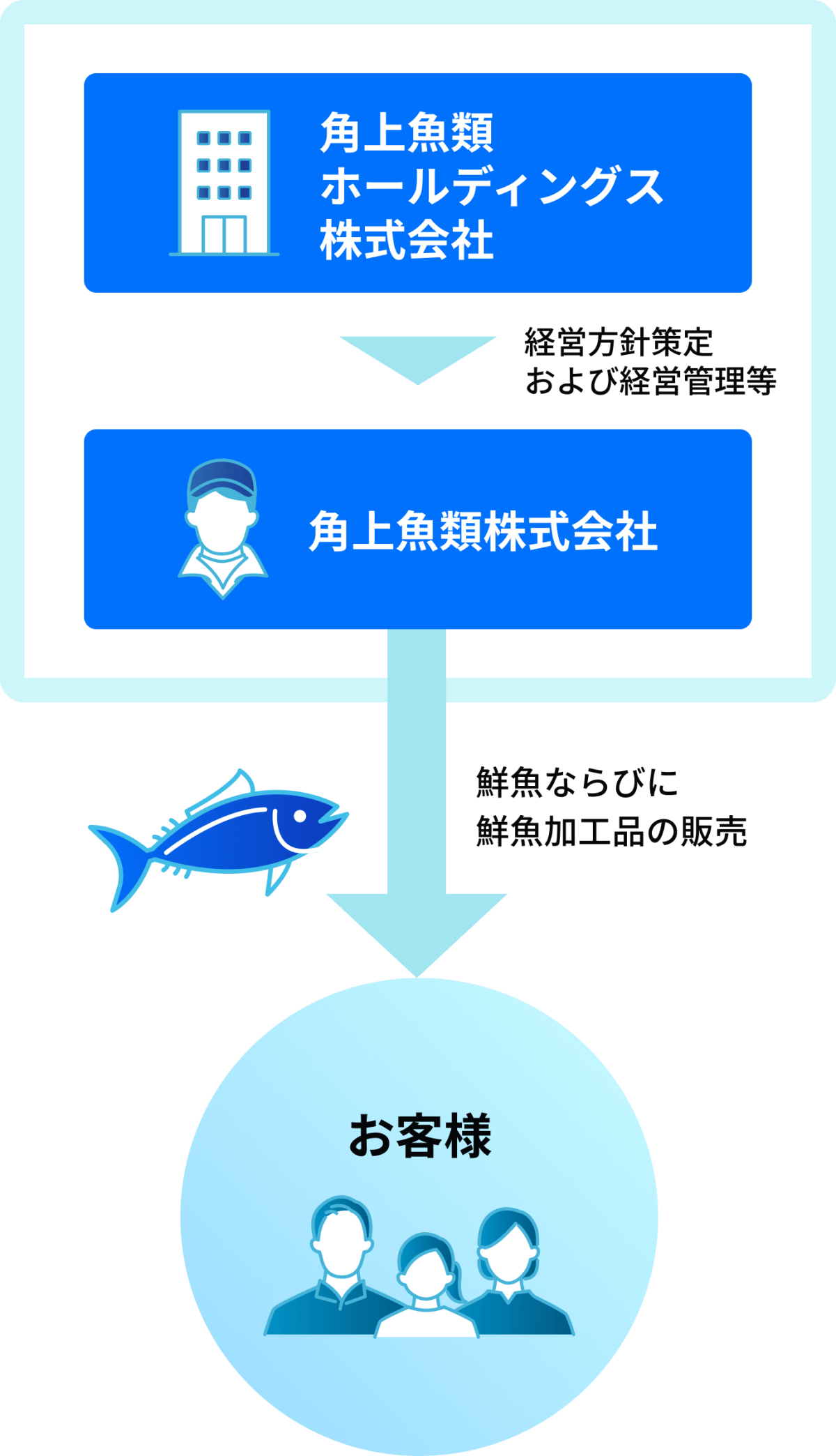 角上魚類ホールディングス株式会社から角上魚類株式会社へ経営方針策定および経営管理などを行い、角上魚類株式会社はお客様へ鮮魚ならびに鮮魚加工品の販売を行う。