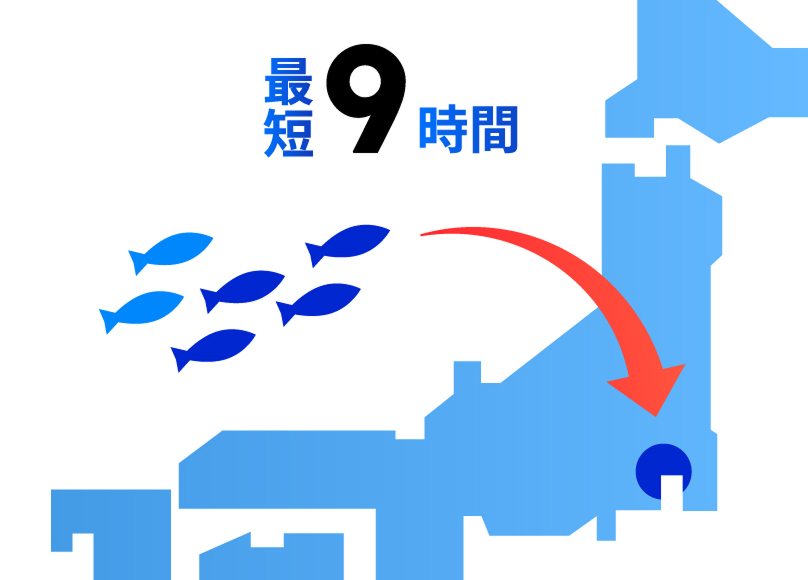 最短9時間